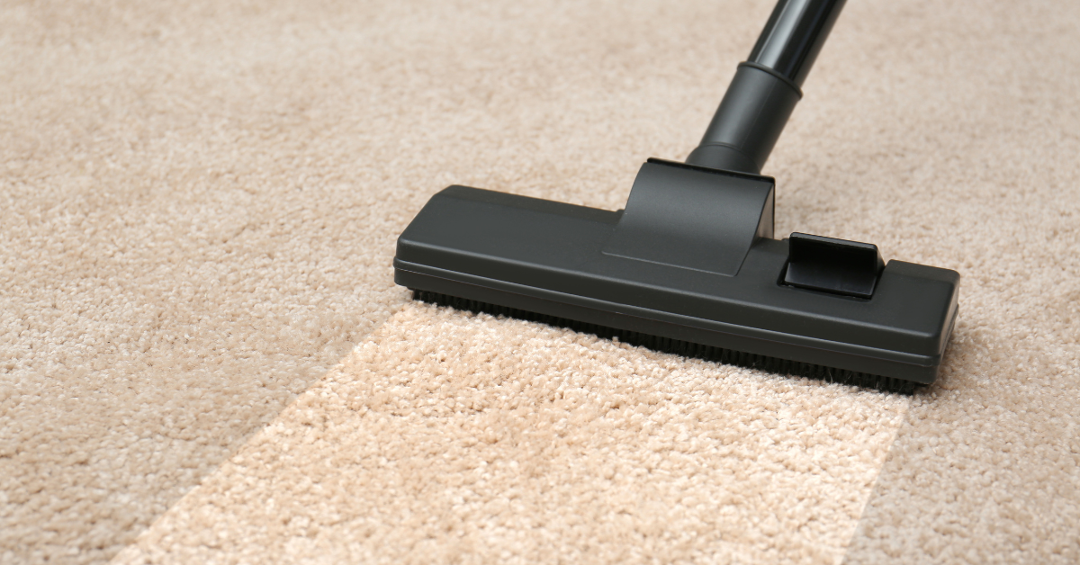 A steam cleaner is run across a carpet, showing the color difference of a before and after of a professional carpet cleaning.
