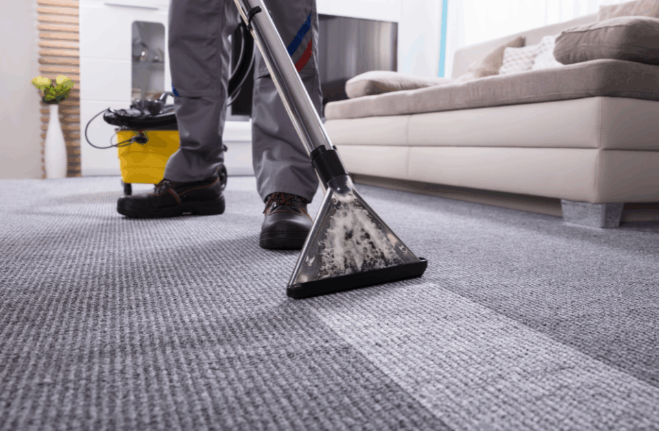 A person is cleaning a gray carpet in a living room with a professional carpet cleaning machine, reflecting the expertise of professional carpet cleaners. The scene includes a beige sofa, a yellow cleaning bucket, and sunlight streaming through a window.