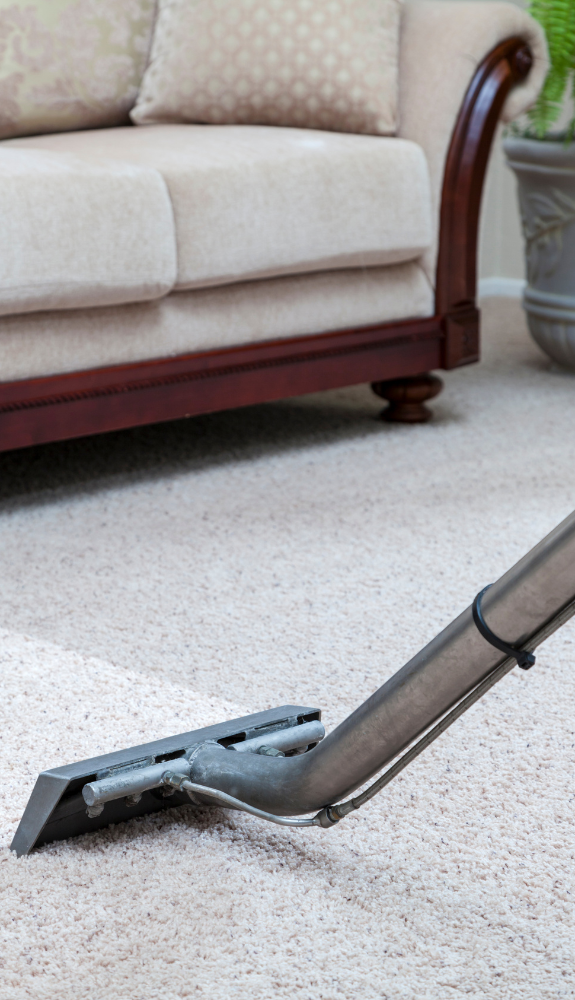 A steam cleaner is being used for the best carpet cleaning on a beige carpet in a living room, with a sofa and a potted plant visible in the background.