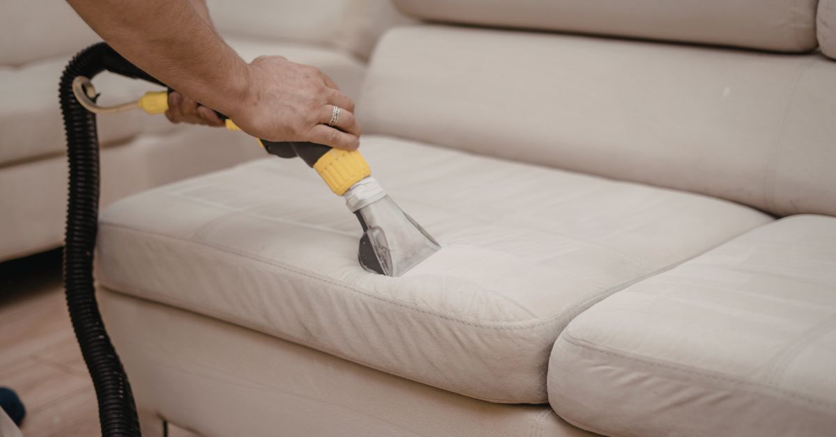 A person uses a handheld vacuum cleaner with a transparent nozzle to clean a light-colored upholstered sofa cushion, demonstrating techniques similar to the best carpet cleaning methods.