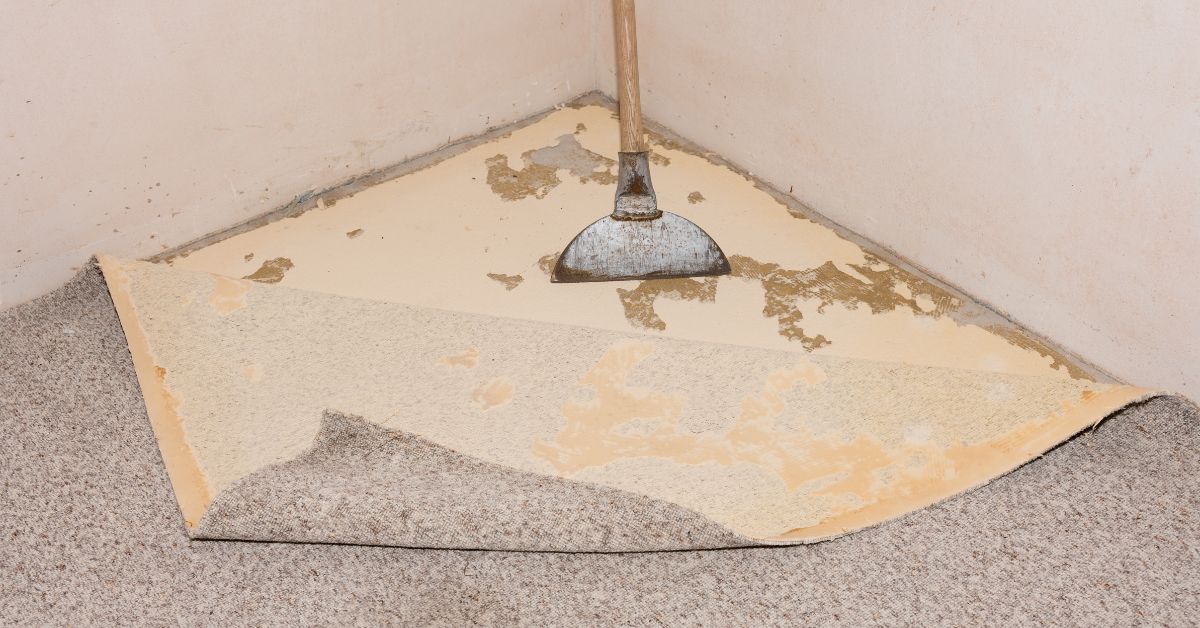 A carpet is being removed from a corner of a room using a scraper tool, revealing the floor underneath to show the carpet's life expectancy.